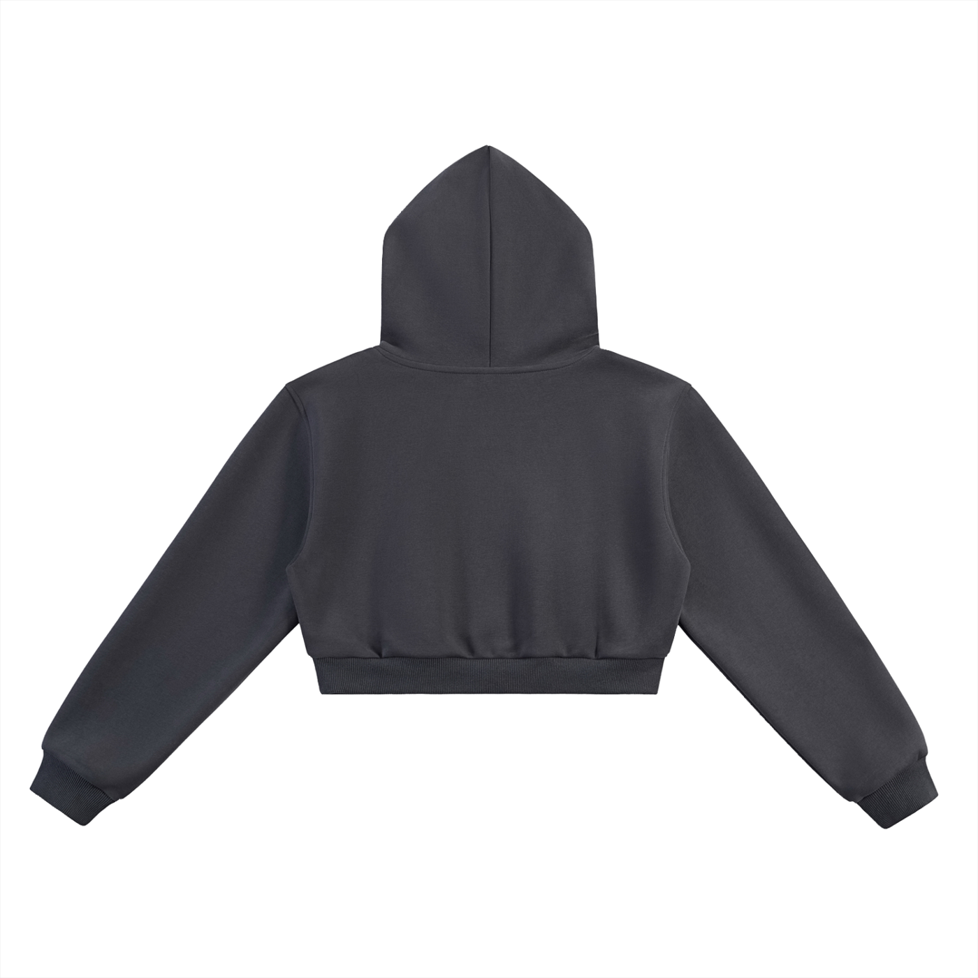 VKM Crown Crop Hoodie